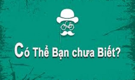 Một vài loại cây có tiềm lực xử lý ô nhiễm môi trường